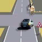 Prioridad de animales respecto a vehiculos