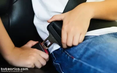 Cinturón seguridad imagen