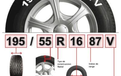 Lectura de un neumático, infografía