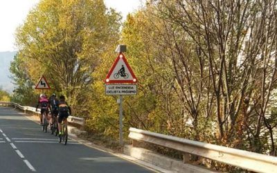 P22b peligro por ciclistas luminosa, imagen