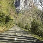 carretera convencional atravesando bosque