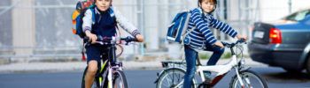 El ciclista: Responsable y seguro II