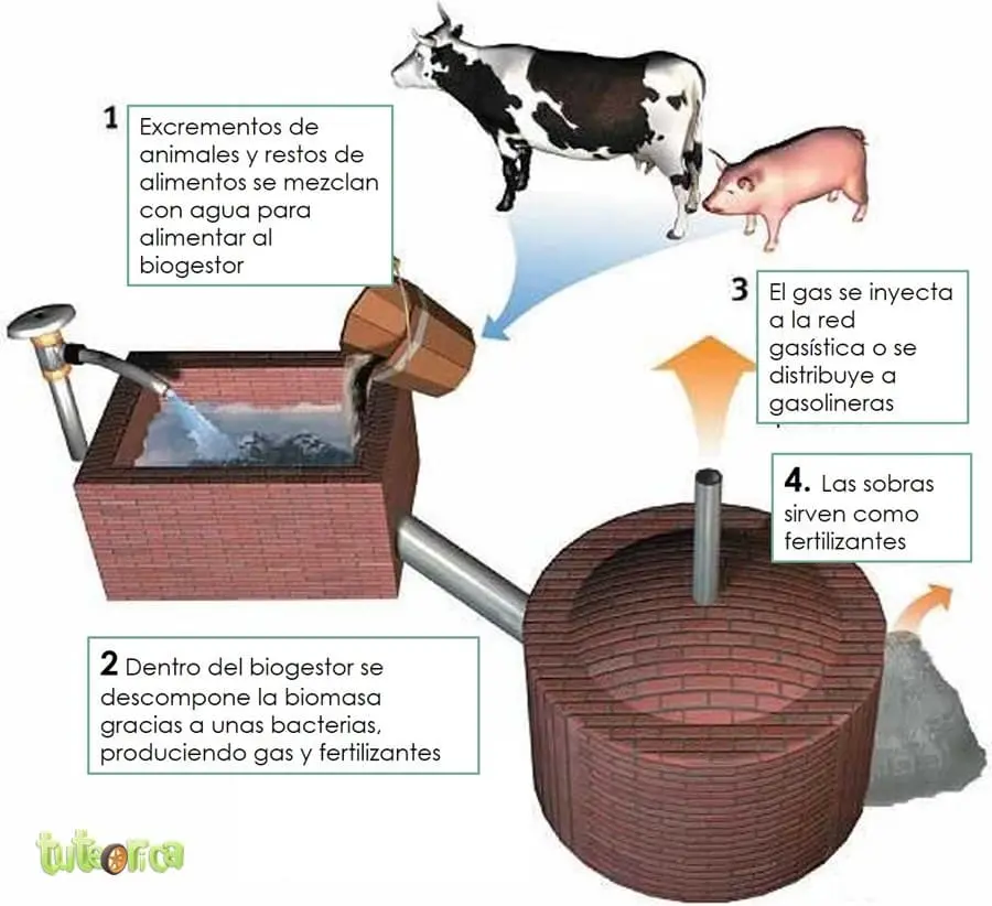 Produccion de biometano o biogas