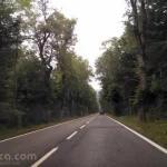 Carretera atraviesa bosque