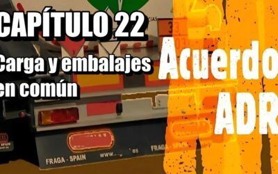 Carga en común de mercancías peligrosas. Embalaje en común. Manual ADR 22