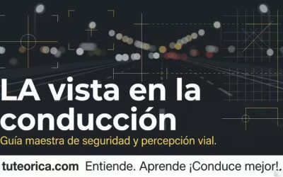 Guía maestra: La visión en la conducción y Seguridad Vial